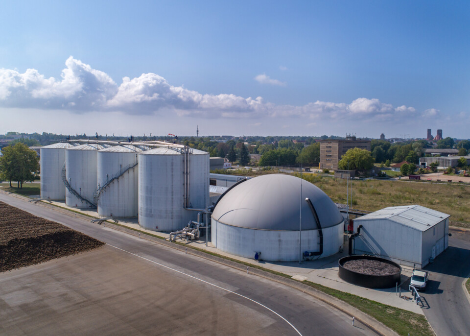 Biogas entsteht beispielsweise bei der Zuckerrübenverarbeitung, wie hier in Anklam.